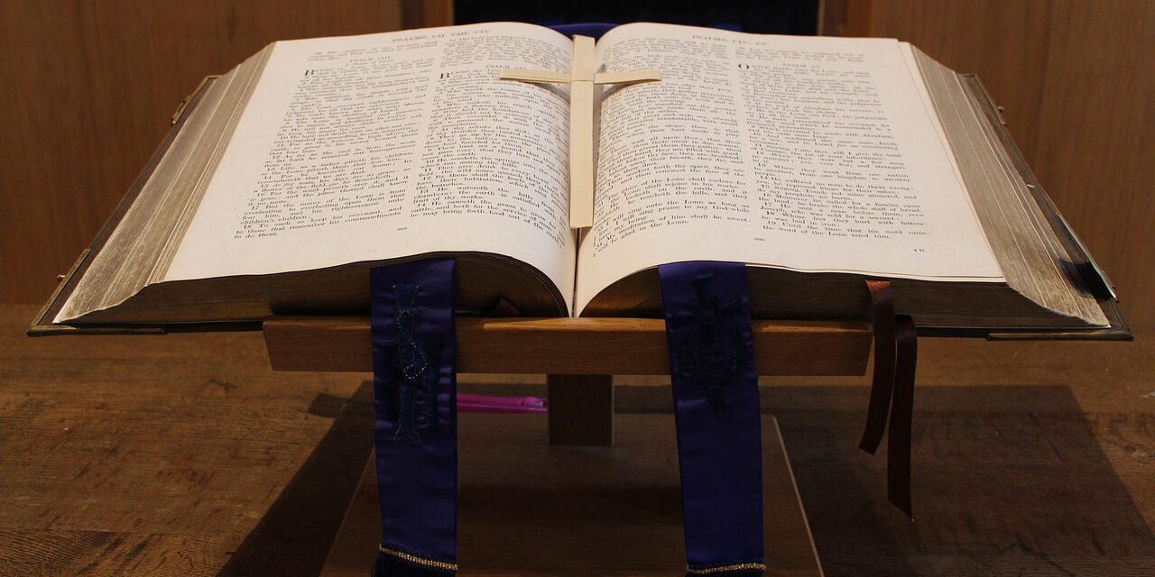 Screenshot whites logo